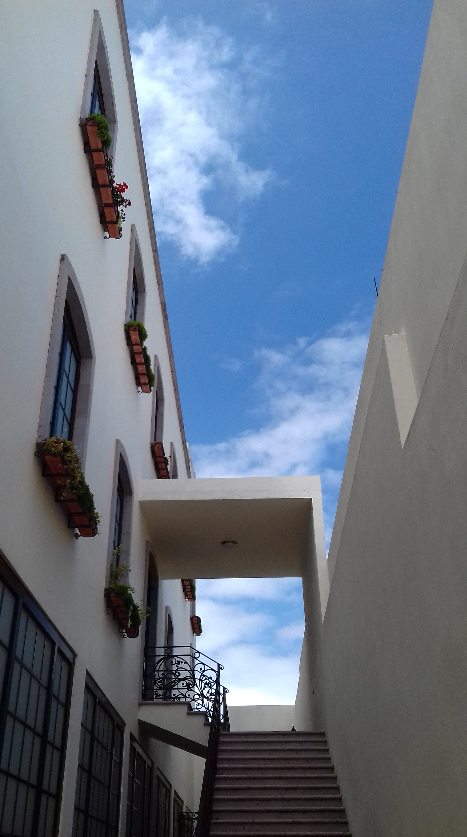 Why San Miguel El Alto?