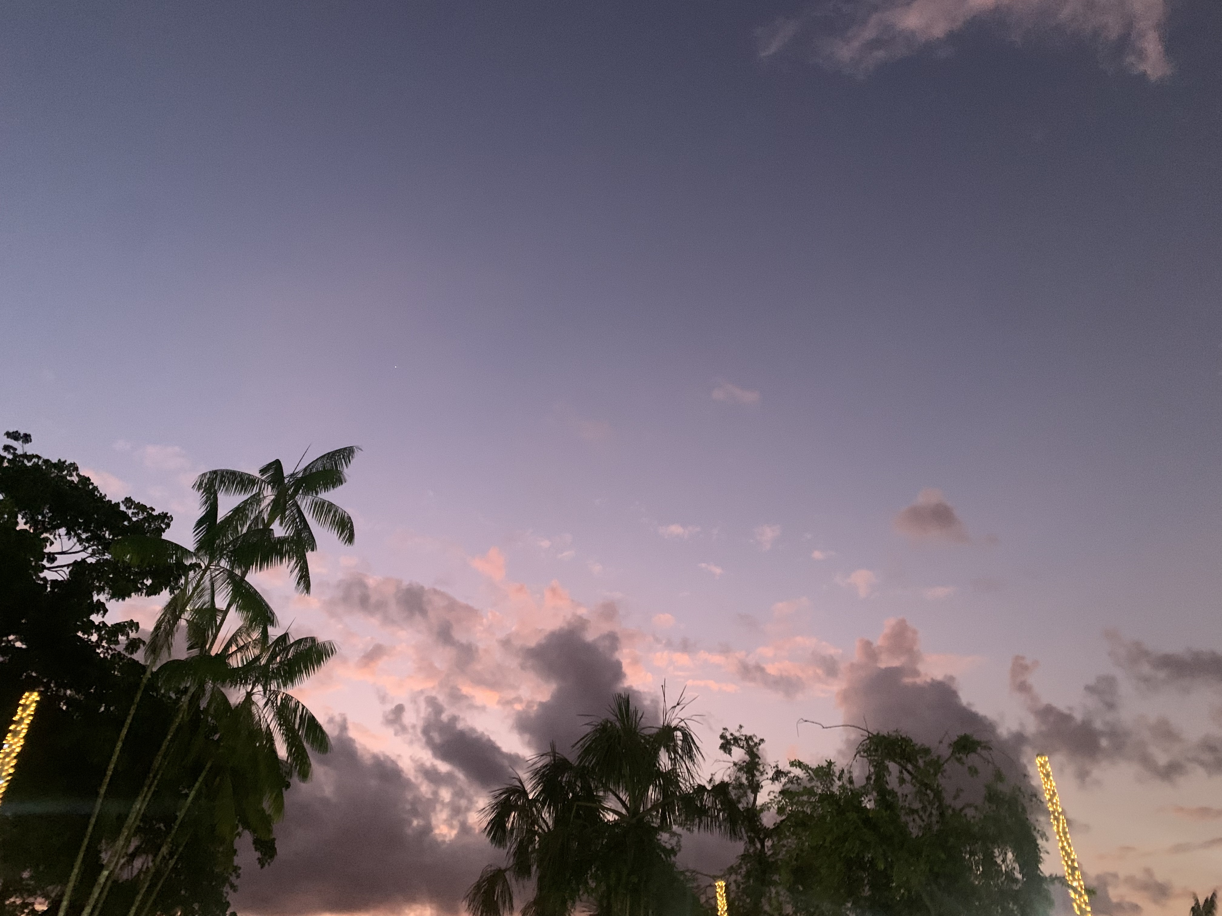 Leticia, Colombia // Why did I ever think I could survive in the Amazon? (Part Two)