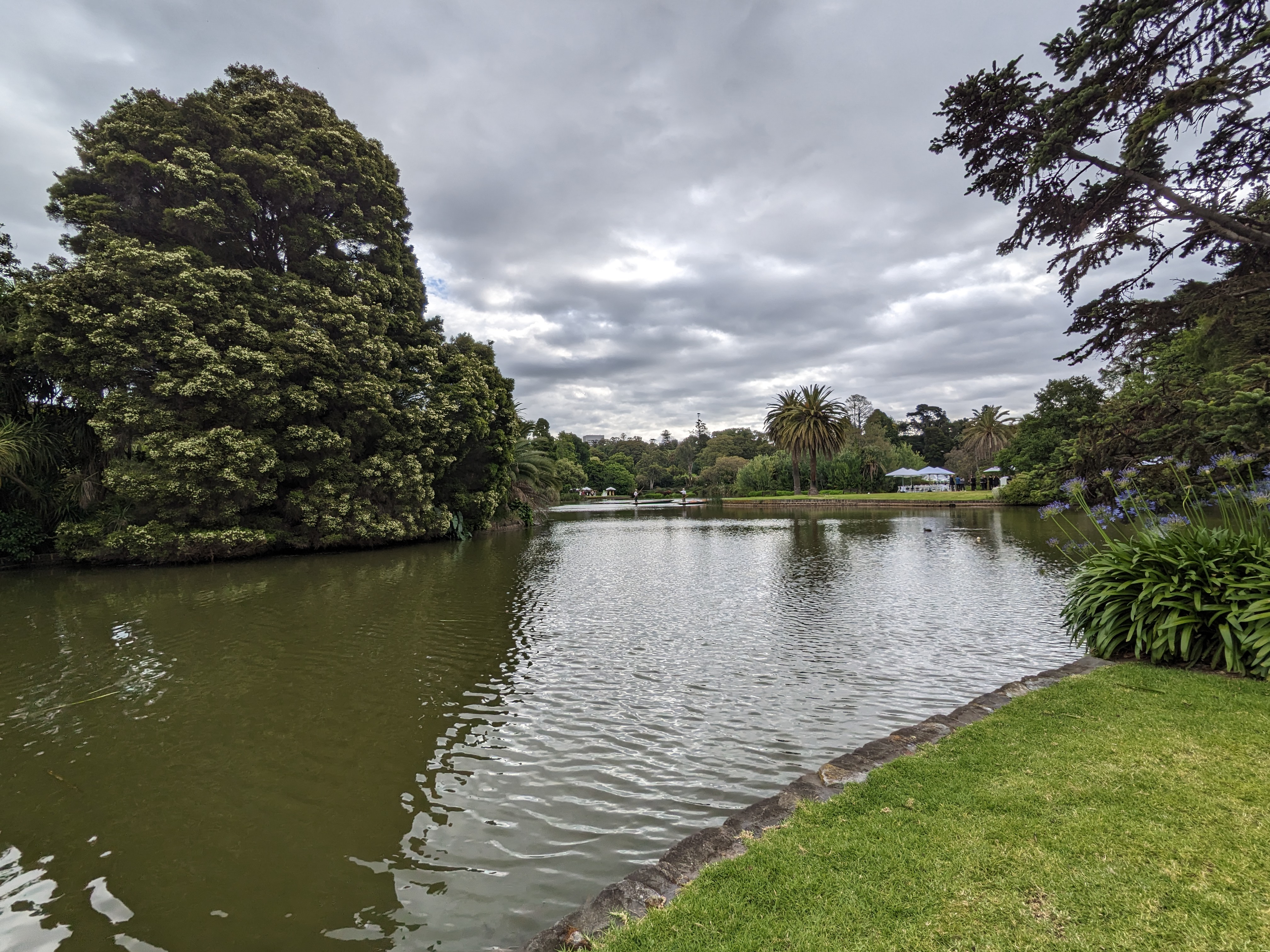 Melbourne, Australia // Why hot springs, tiny penguins, and old friends?